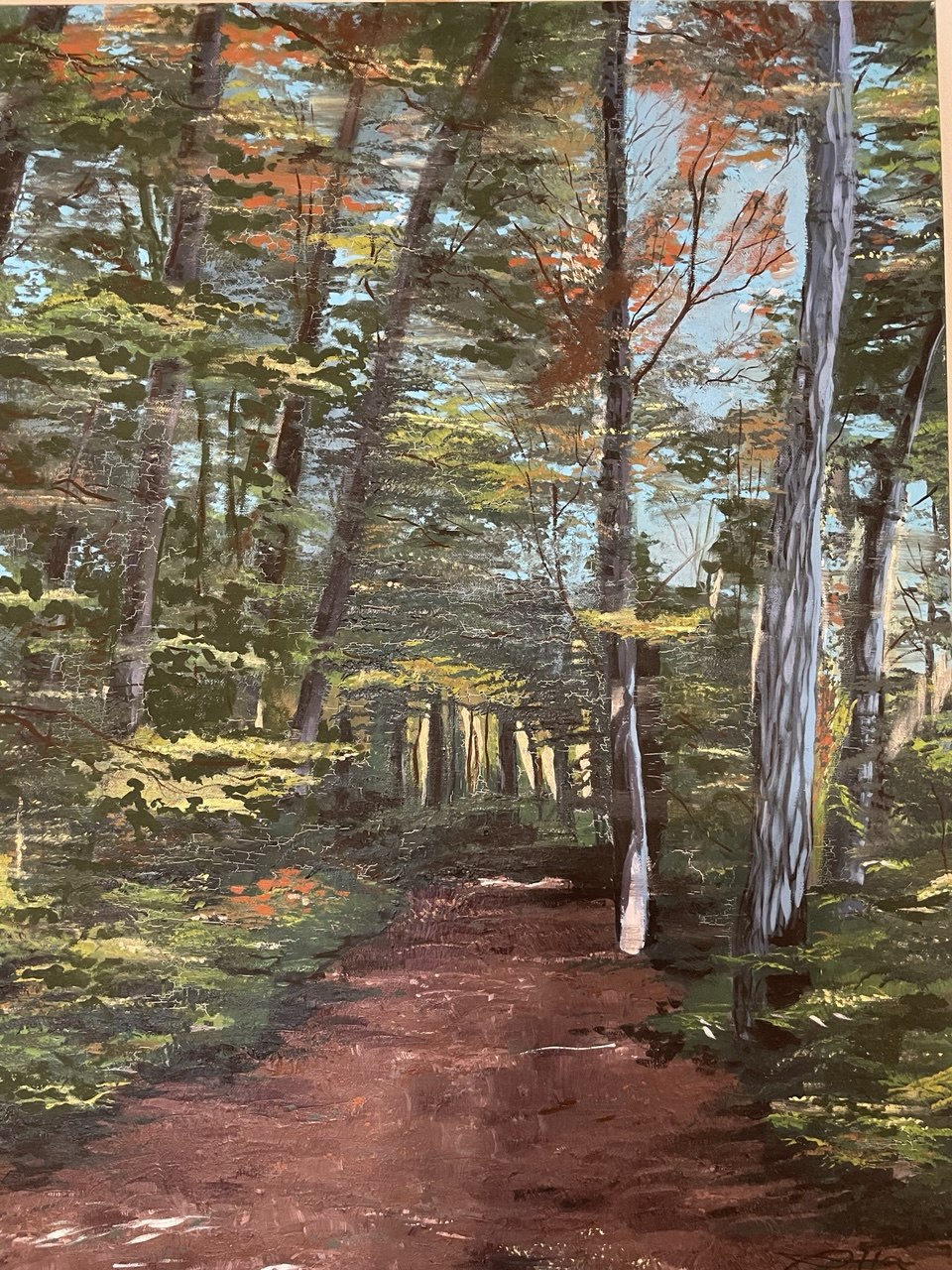 Woodland Path